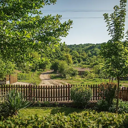 Gramatikova House * Brŭshlyan