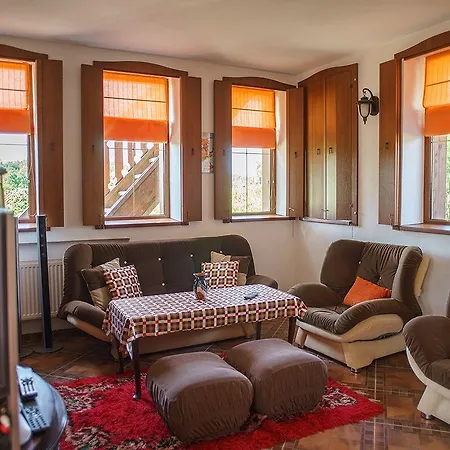 Gramatikova House 펜션