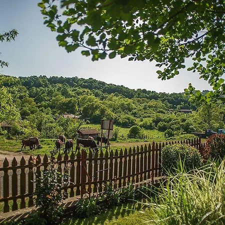 Дом отдыха Gramatikova House