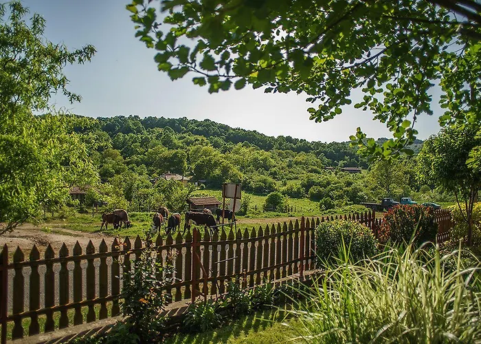 Case de vacanță Gramatikova House